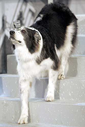 sklenička mi nespadne